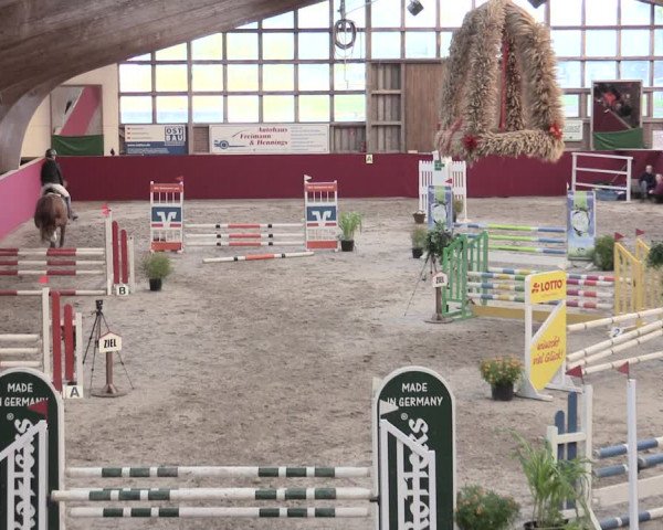 Reitturnier Krumke 2023