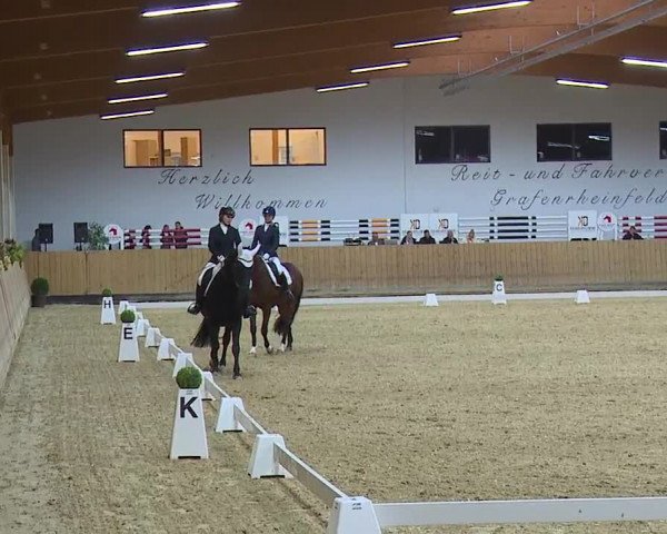 Reitturnier Grafenrheinfeld/Ufr. 2023