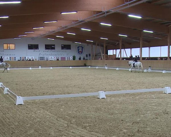 Reitturnier Grafenrheinfeld/Ufr. 2023