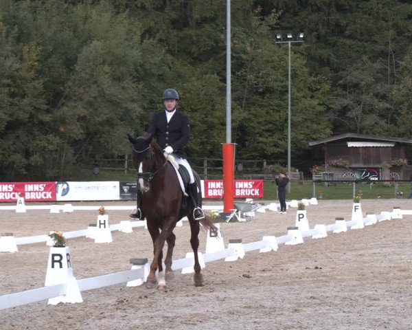 Dressurturnier Igls 2023