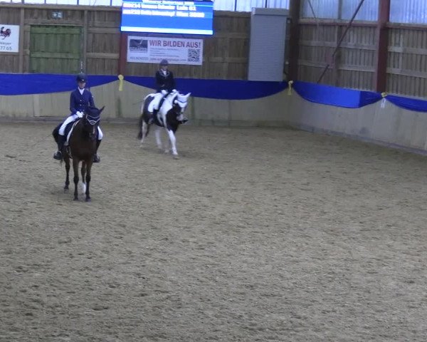 Reitturnier Villmar 2023