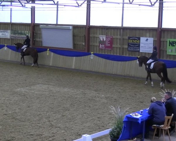 Reitturnier Villmar 2023