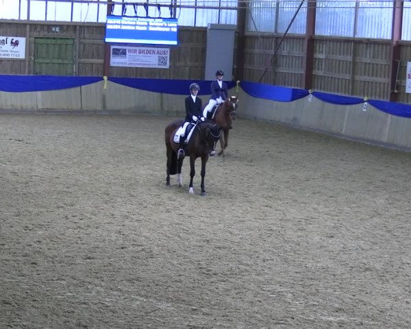 Reitturnier Villmar 2023