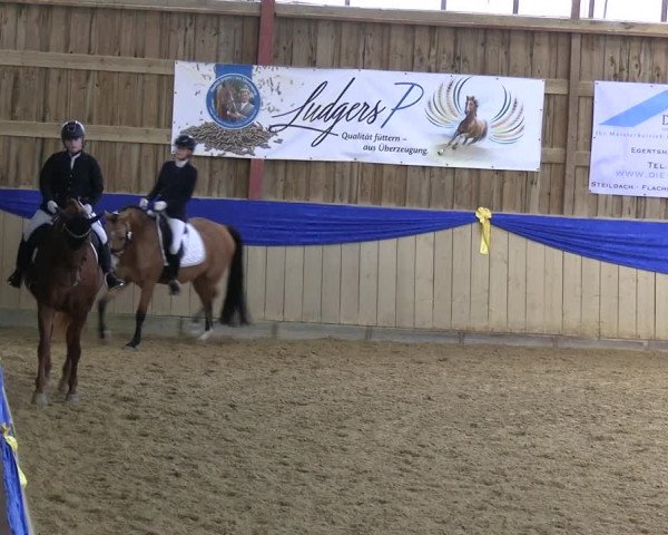 Reitturnier Villmar 2023