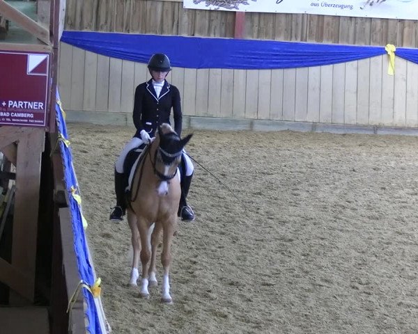 Reitturnier Villmar 2023