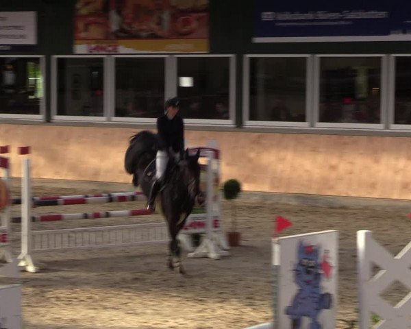 Reitturnier Salzkotten 2023