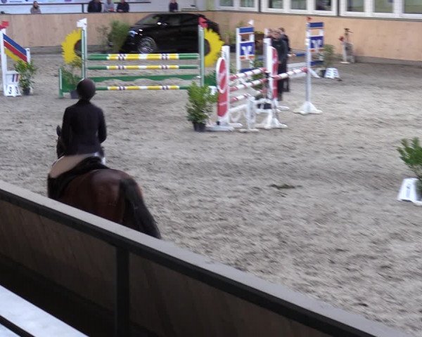 Reitturnier Salzkotten 2023