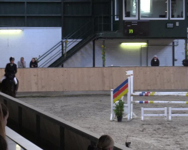 Reitturnier Salzkotten 2023
