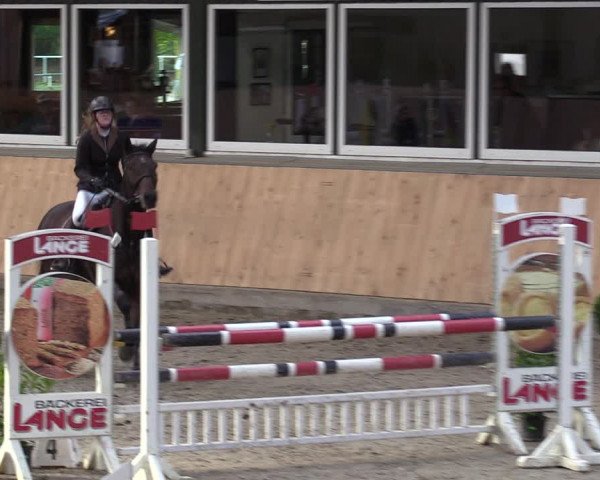 Reitturnier Salzkotten 2023