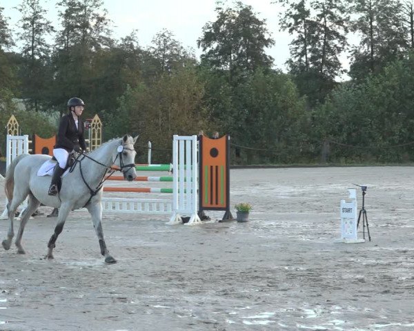 Reitturnier Handorf 2023