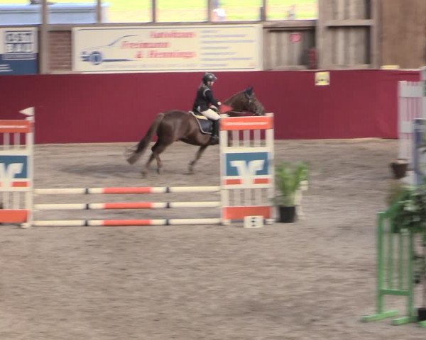 Reitturnier Krumke 2023