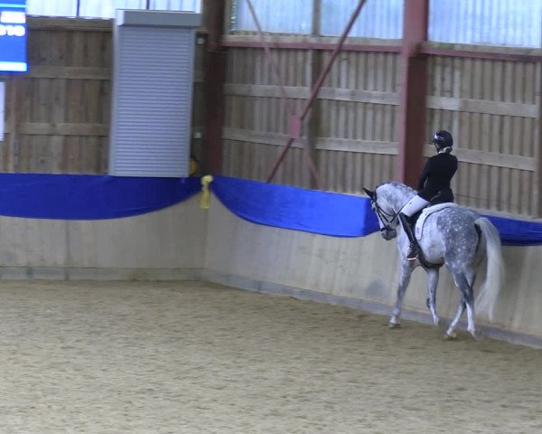 Reitturnier Villmar 2023