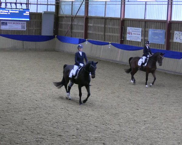 Reitturnier Villmar 2023
