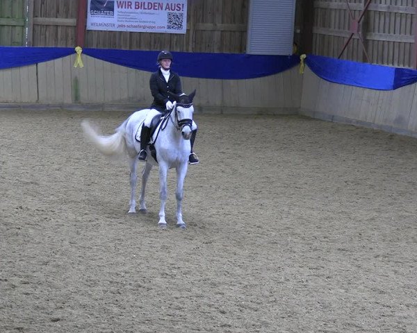 Reitturnier Villmar 2023