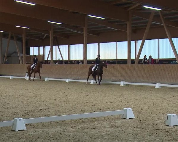 Reitturnier Grafenrheinfeld/Ufr. 2023