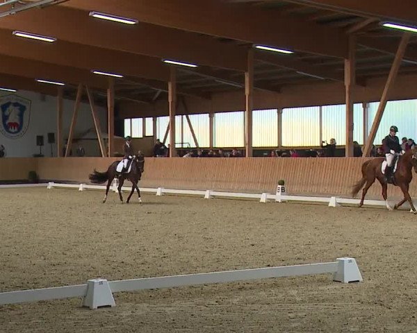 Reitturnier Grafenrheinfeld/Ufr. 2023