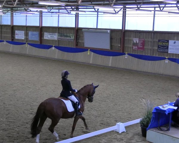 Reitturnier Villmar 2023