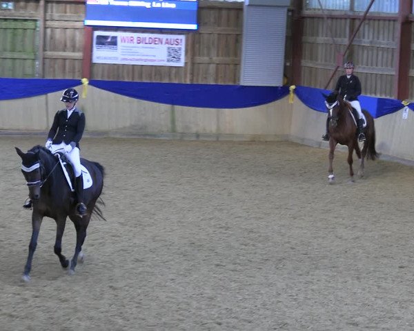 Reitturnier Villmar 2023