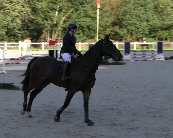 Reitturnier Essen - Herbstturnier 2023
