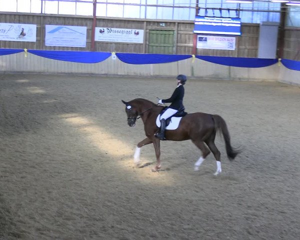 Reitturnier Villmar 2023