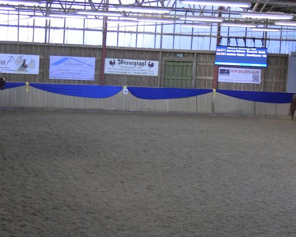 Reitturnier Villmar 2023