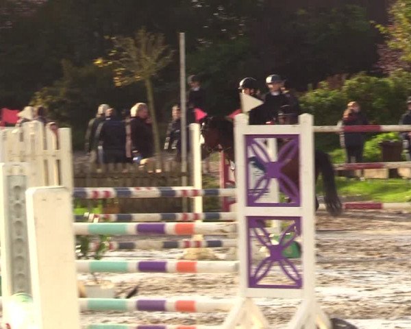 Reitturnier Schülp / Rendsburg 2023