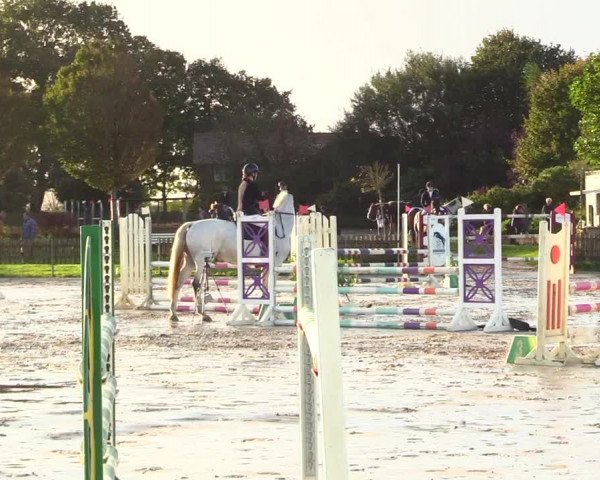 Reitturnier Schülp / Rendsburg 2023