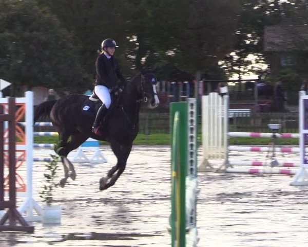Reitturnier Schülp / Rendsburg 2023
