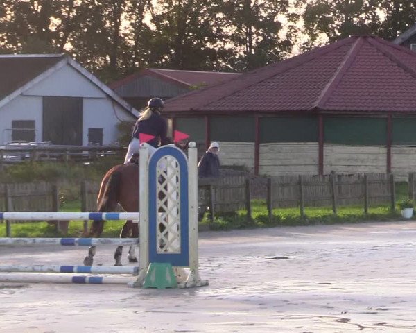 Reitturnier Schülp / Rendsburg 2023