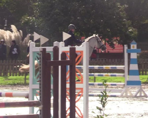 Reitturnier Schülp / Rendsburg 2023