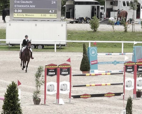 Pferdesporttage Bülach 2021