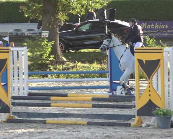 Reitturnier Handorf 2023