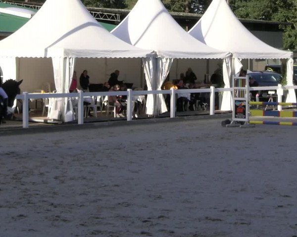 Reitturnier Essen - Herbstturnier 2023