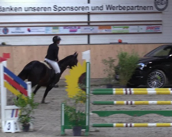 Reitturnier Salzkotten 2023