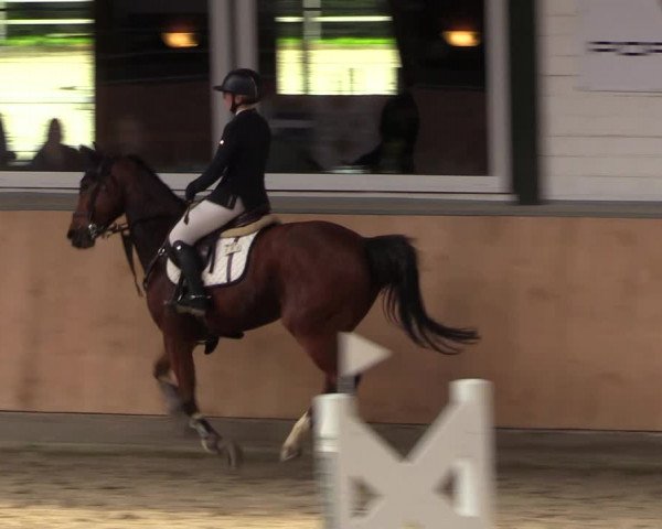 Reitturnier Salzkotten 2023