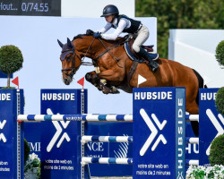 jumper Ferrari Quality (Holsteiner, 2013, from Casall Ask)