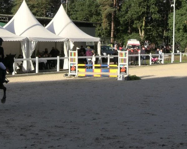 Reitturnier Essen - Herbstturnier 2023
