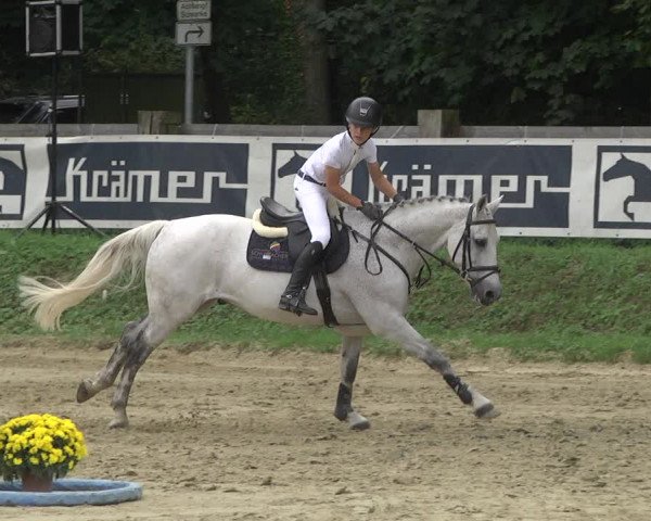 Springturnier Walldorf/Winterheck 2021