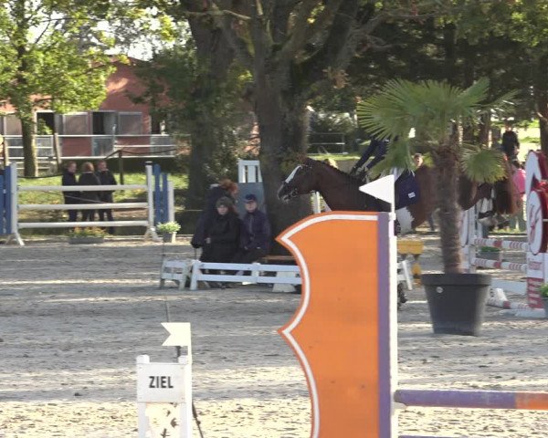 Reitturnier Handorf 2023