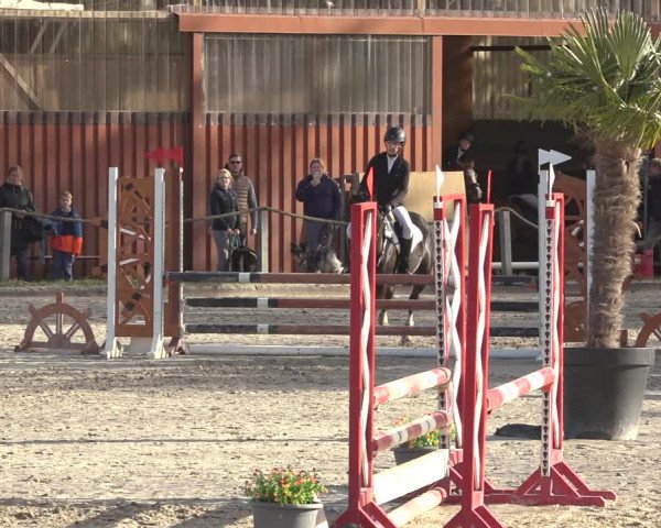 Reitturnier Handorf 2023