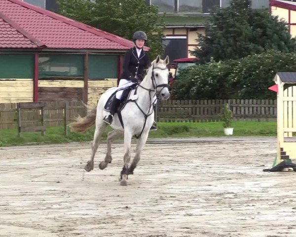 Reitturnier Schülp / Rendsburg 2023