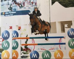 jumper Chicago Ee Z (Zangersheide riding horse, 2009, from Comme d'Api van de Hacienda Z)