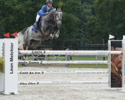 jumper Diamond Quality Z (Zangersheide riding horse, 2016, from Diamant de Semilly)
