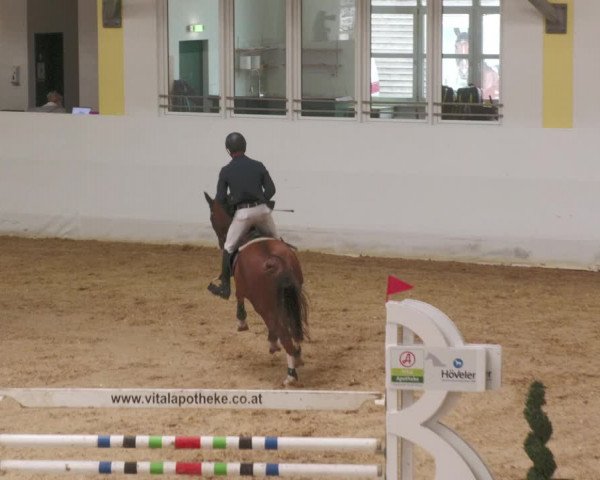 Springturnier Stadl Paura 2023