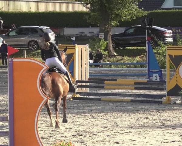Reitturnier Handorf 2023