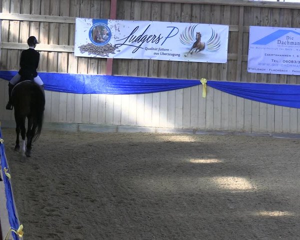 Reitturnier Villmar 2023