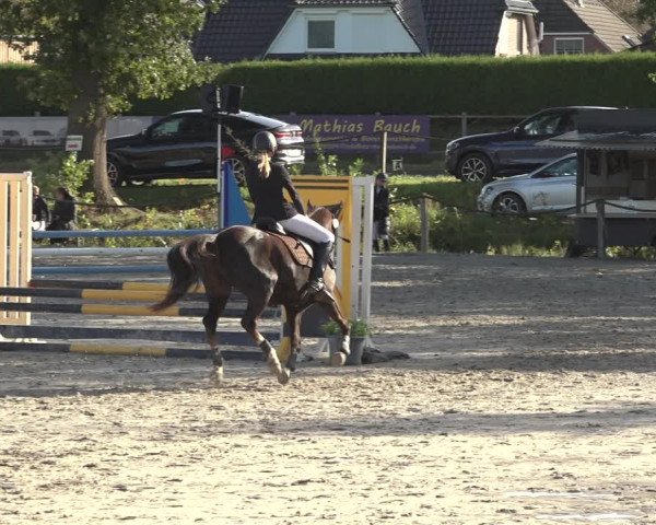 Reitturnier Handorf 2023