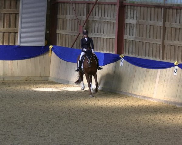 Reitturnier Villmar 2023