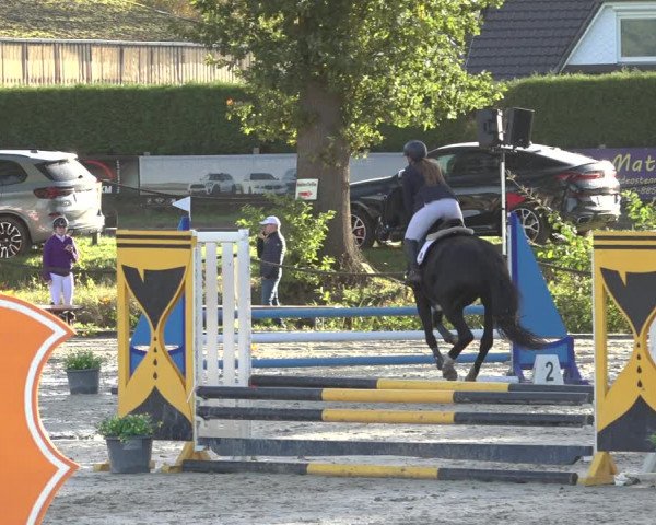 Reitturnier Handorf 2023
