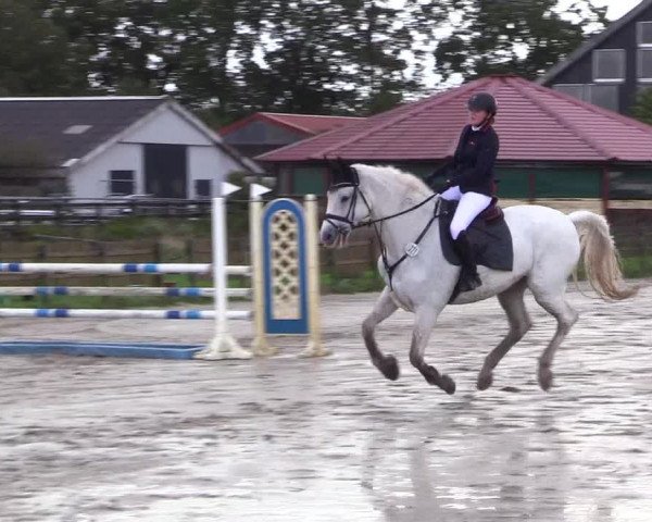 Reitturnier Schülp / Rendsburg 2023